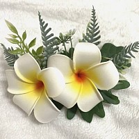 花飾り　プリメリア